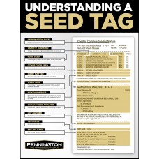 Pennington Grass Seed Kentucky Bluegrass, 3 lbs   554294178